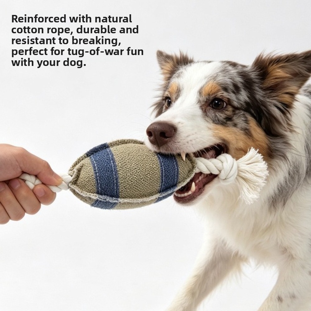 Bola Gigit Anjing Tahan Gigita - Rugby Training Ball ulasan dan harga
